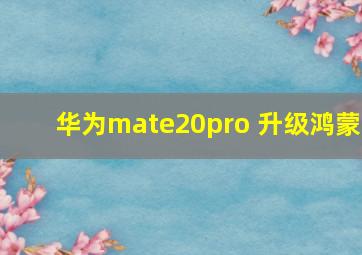 华为mate20pro 升级鸿蒙